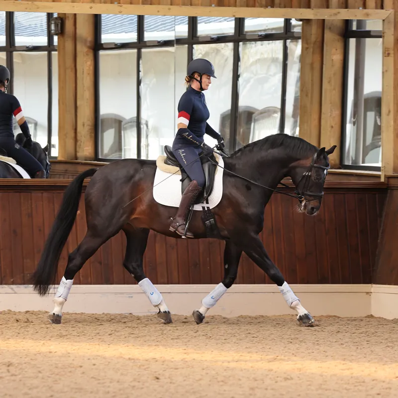 Aubrion Team Shield Riding Tights - Navy-4